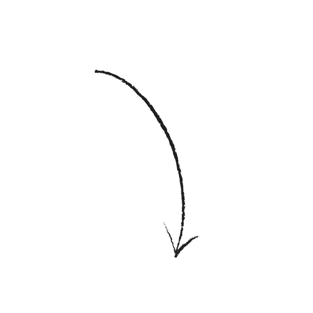 Flèche noire