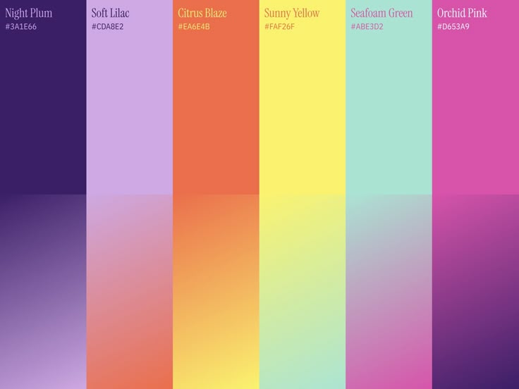 Palette couleurs Transmusicales